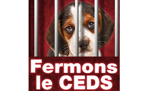 Pétition pour la fermeture du CEDS et le développement de méthodes substitutives à l’animal par les laboratoires