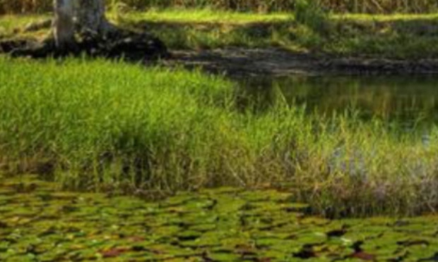 Stop aux nuisances sonores et à l'implantation du centre sportif « Zandoli Padle » à la résidence Desvarieux Saint-François