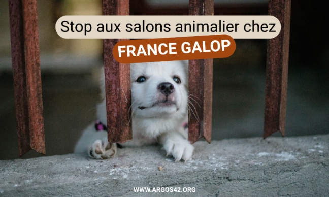 Non aux salons animaliers dans les hippodromes de France Galop !