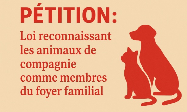 Pour une protection plus accrue du statut juridique des animaux de compagnie