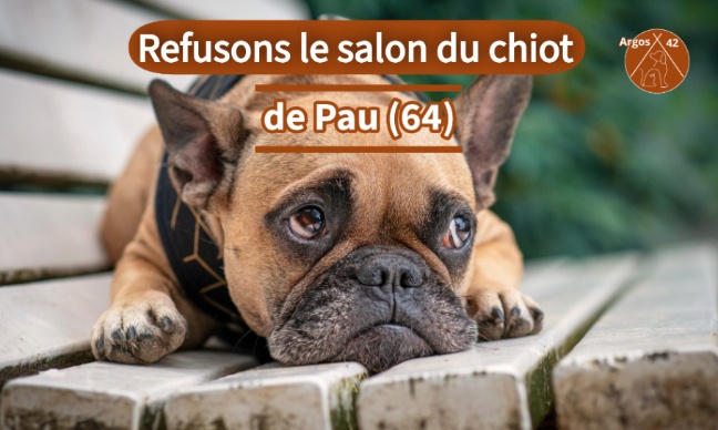 Refusons le salon du chiot de Pau