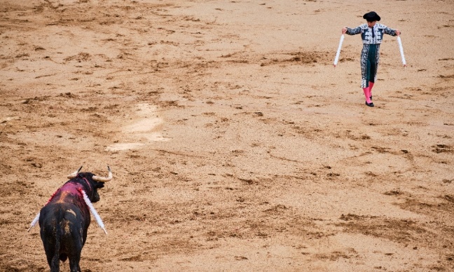 Stop à la corrida : protégeons les animaux maintenant !