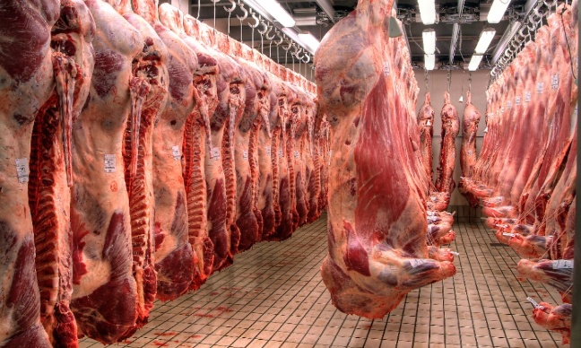 Stop à l'industrialisation des abattoirs, protégeons les animaux !