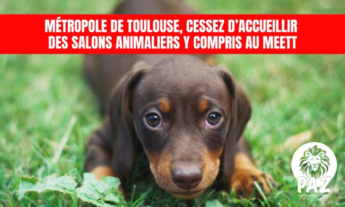 Stop aux salons animaliers dans les lieux de Toulouse Métropole