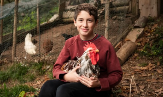 Sauvons Dakota le coq de mon fils : symbole de notre...