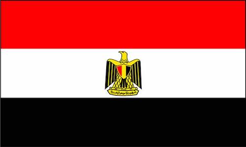Participer à la destitution du Dictateur de l'Égypte