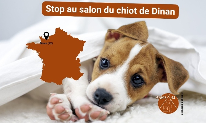 Stop au Salon du Chiot de Dinan