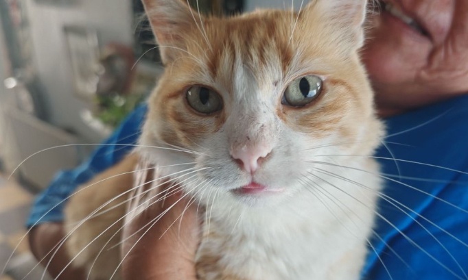 Justice pour Rémi et Dominique : Arrêtons les amendes...