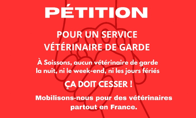 Pour un vétérinaire de garde à Soissons le week-end et alentours !