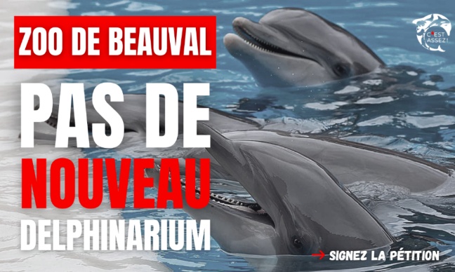 NON à un delphinarium à Beauval : l'exploitation...