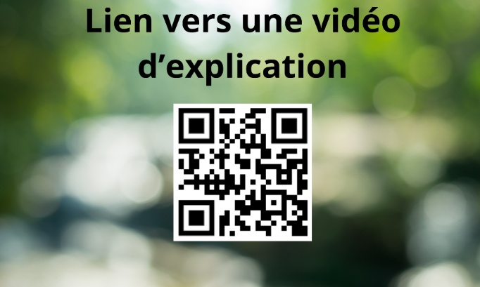 A Saint Genis de Saintonge Rien ne va plus