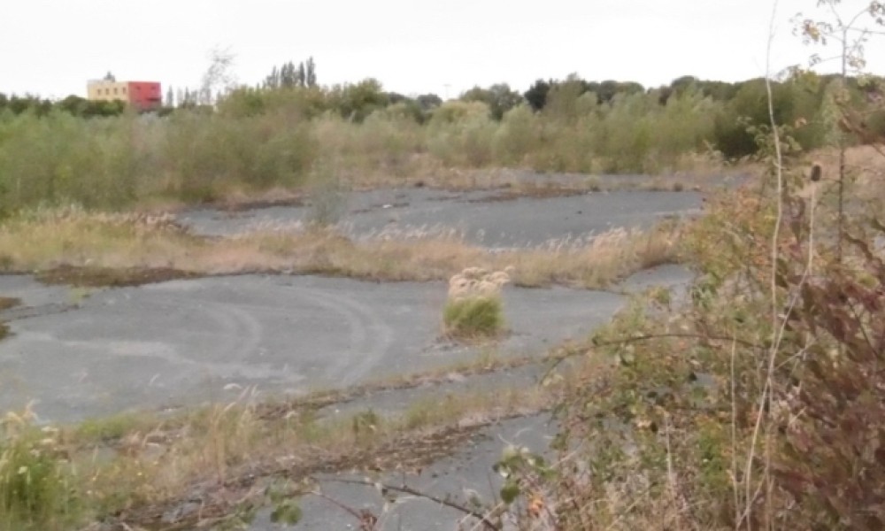 Sauvons Haubourdin ! Non à la chaufferie biomasse, oui à un projet de vie pour la friche Lever
