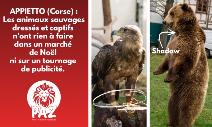 Mairie d’Appietto (Corse) : annulez l’exhibition...