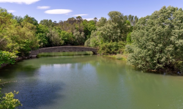 Stop à la destruction de 200 hectares de forêt à...