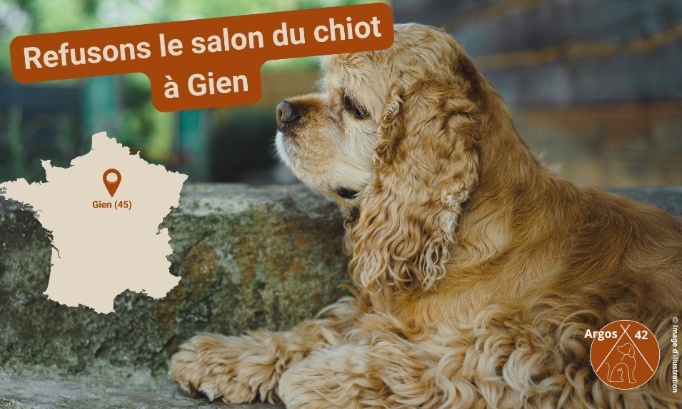 Refusons le salon du chiot à Gien !