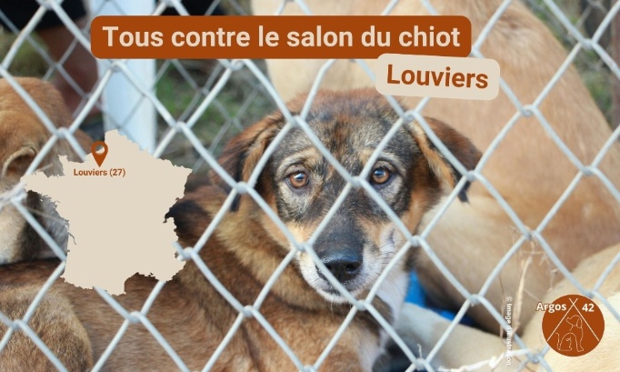 Tous contre le salon du chiot de Louviers