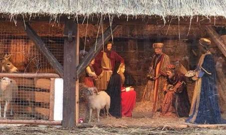 Pour la remise de la crèche traditionnelle sur la Grand-Place de Bruxelles