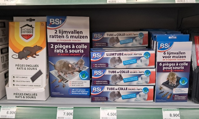 Stop au piège à colle dans le brico Leclerc de Bernay.
