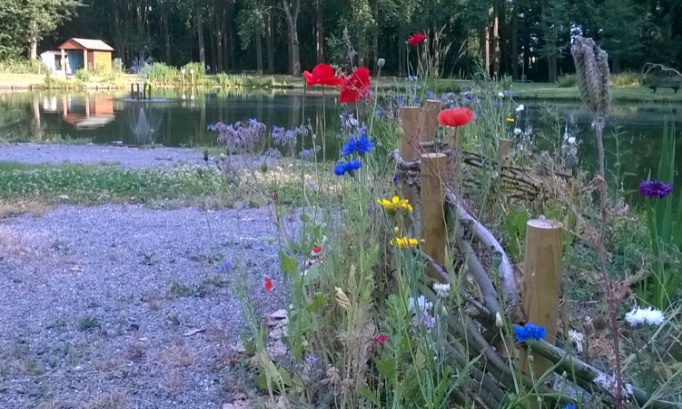 Pour la sauvegarde de La Gaule Prémesquoise et la préservation de la pêche