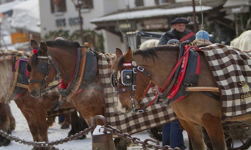 Stop aux calèches tirées par des chevaux-esclaves à Megève (Haute-Savoie) !