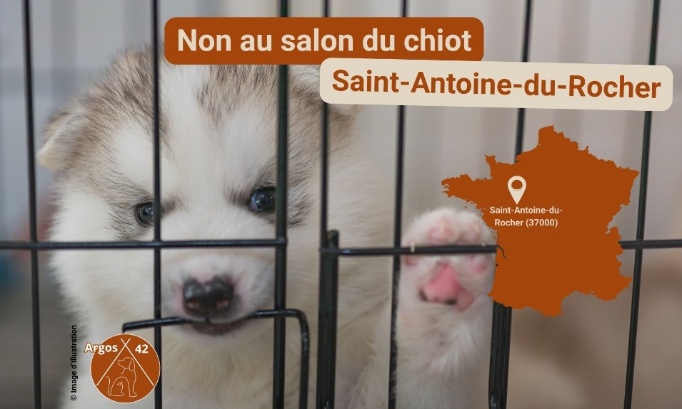 Non au Salon du Chiot de Saint-Antoine-du-Rocher