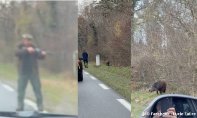 Stop au floutage des visages des personnes maltraitantes, rendez-nous leur identité