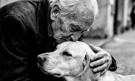 Non au budget en hausse pour l'immigration payé par le peuple qui travaille dur et qui est étouffé par les impôts et les taxes injustes