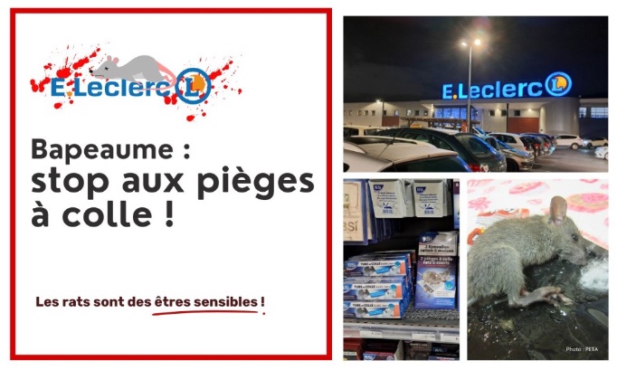 Stop à la cruauté animale au Leclerc Bapeaume