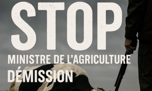 Stop au massacre et à la maltraitance animale Démission de la ministre