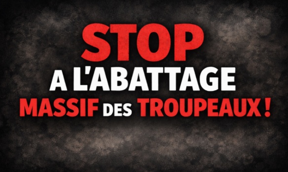  POUR LA FIN DES ABATTAGES MASSIFS AUTOMATIQUES Une pétition citoyenne