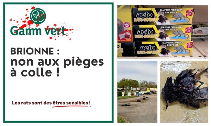Stop à la cruauté animale au Gamm vert Brionne