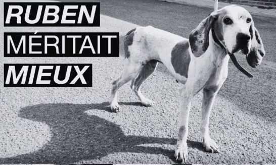 Pour la démission d'Adrien Dolimont au ministère du bien-être animal Wallon.