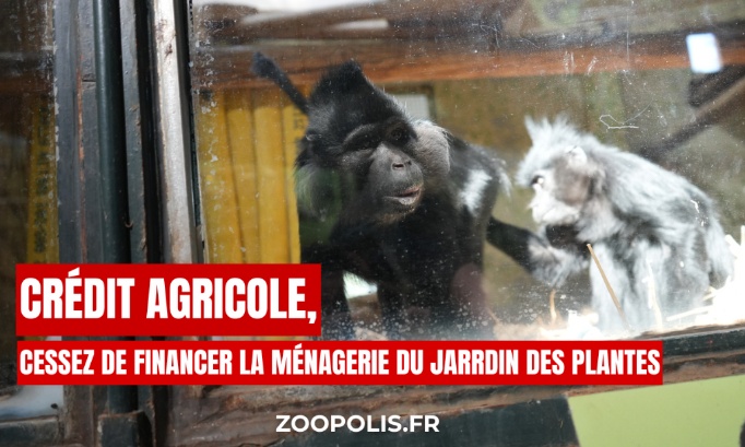 Cr&eacute;dit Agricole : cessez d'alimenter l'emprisonnement des animaux (M&eacute;nagerie)