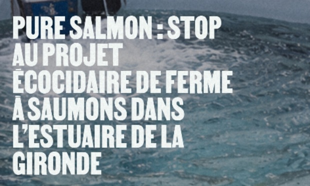 Non au projet d&rsquo;&eacute;levage intensif de saumons par Pure Salmon !!!