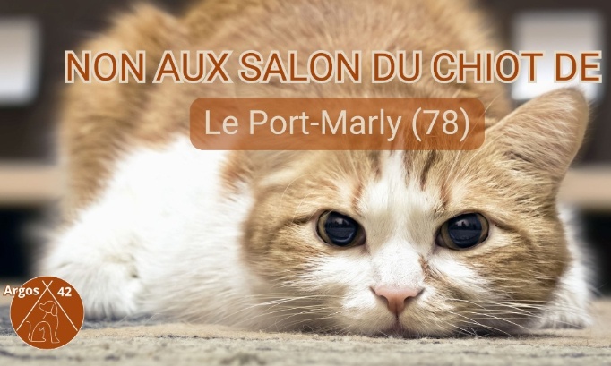 Stop aux salons du chiot &agrave;  Port-Marly (78)