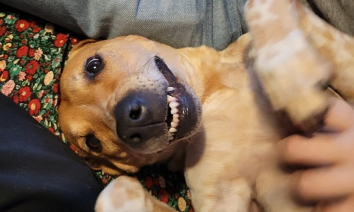 Arr&ecirc;t des outils coercitifs sur vinted