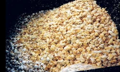 Mettez fin au massacre des innocents : interdisez l'abattage des poussins m&acirc;les dans le monde entier !