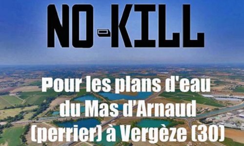 NO-KILL pour les étangs du mas d'Arnaud (Perrier) à Vergèze!