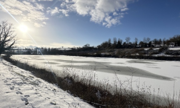 Pour sauver l&rsquo;&eacute;tang du Vitou et prot&eacute;ger ses esp&egrave;ces menac&eacute;es