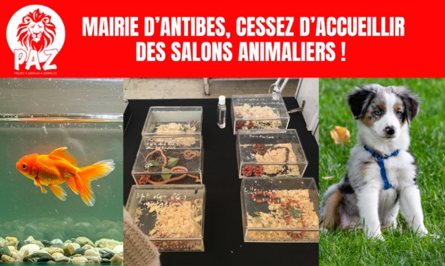 Mairie d'Antibes : cessez d'accueillir des salons animaliers
