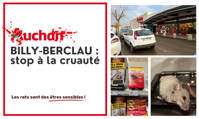 Auchan de Billy-Berclau : stop aux pièges à colle
