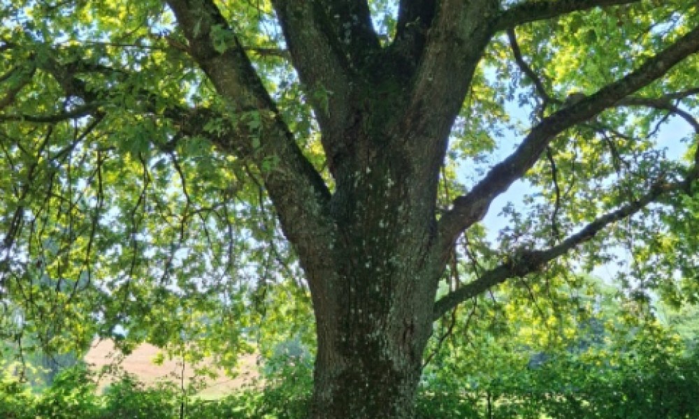 Présidentielles 2027 : au-delà des partis