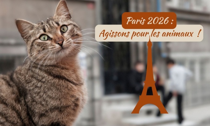 Paris 2026 : Des engagements concrets pour les animaux, maintenant !