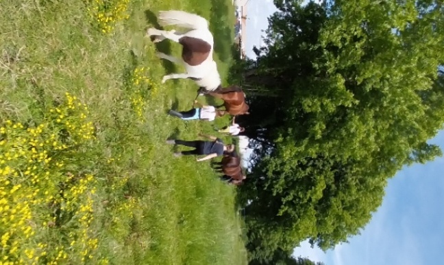 Baisser l'âge légal pour la validation des savoirs éthologique.