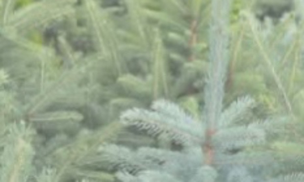 Préservons l’eau, bien commun, face aux usages non nourriciers