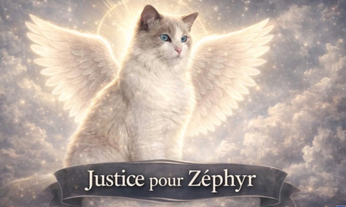 JUSTICE POUR  Z&Eacute;PHIR ATROCEMENT TORTUR&Eacute;, RETOUV&Eacute; AGONISANT