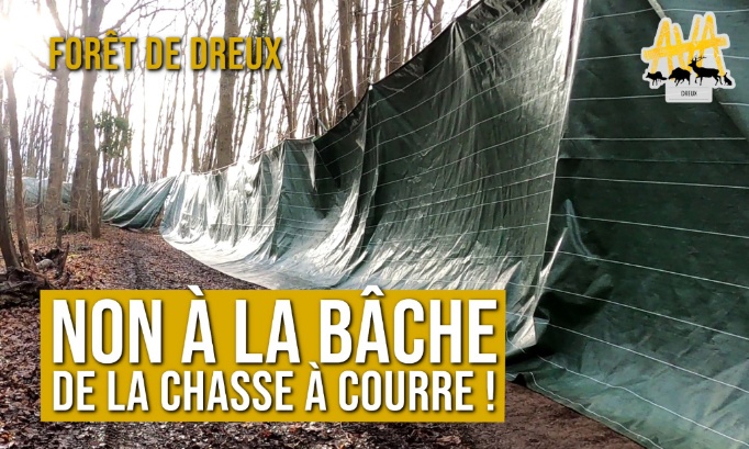 La chasse &agrave; courre b&acirc;che notre for&ecirc;t pour coincer les animaux ?! Pour son retrait imm&eacute;diat !!