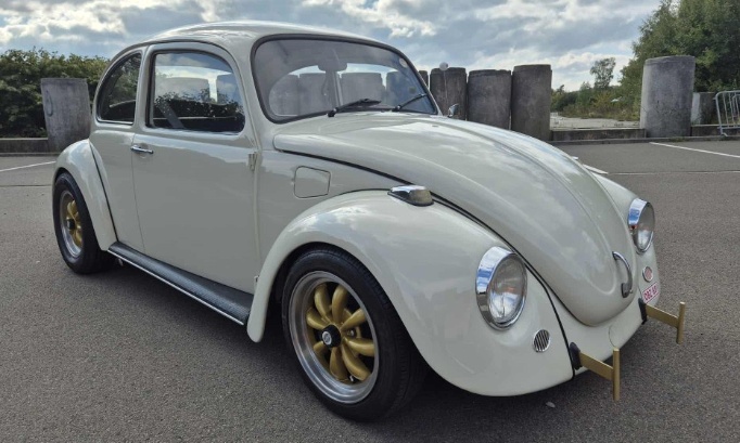 Contre la modification de loi concernant le contrôle technique des ancêtres en Wallonie