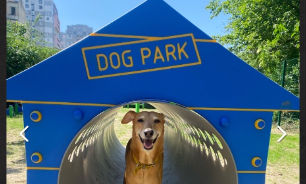 Pour la création d'un parc canin à la Plataneraie ou au parc Jan Vilar à Argenteuil  JEAN VILAR – ARGENTEUIL