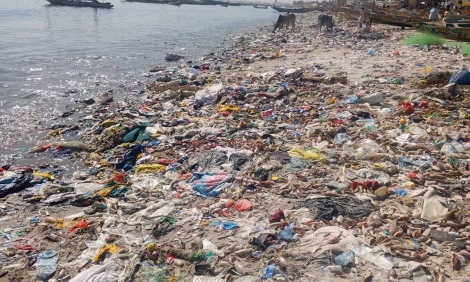 Pour interdire les emballages plastiques et favoriser des alternatives biologiques